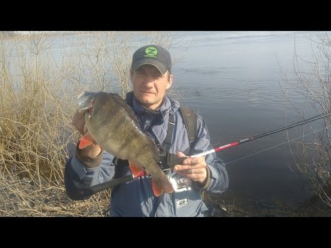 ранней весной судак ранней весной судак