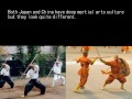 Problems in Korean martial arts and how to find good Dojo