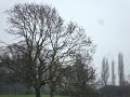 Another Grey Day on the River Anker