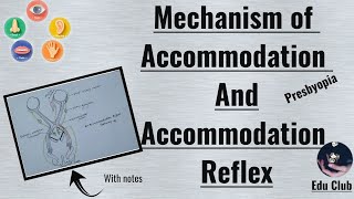 Accommodation Of Eye Accommodation Reflex Presbyopia Special Senses Physiology