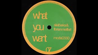 Silat Beksi & Florian Meffert - Model 2000