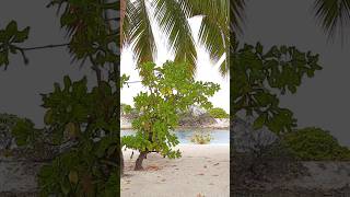 backyard of #beachvilla 😍♥️ #maldives #island #whitesandbeaches #whitebeach