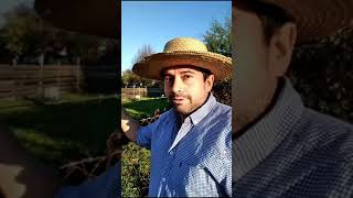 El Chato Chileno