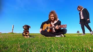 Pink Floyd - Pigs On The Wing Sinoptik Cover