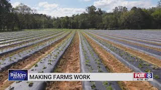 Fox8 Gets Inside Look At North Carolina Farm