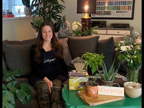 Let's Grow: Make Your Home Your Sanctuary ENGLISH GARDENS