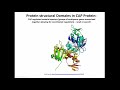 137-2 Protein domain structure function