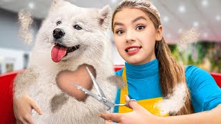 Zostałam Fryzjerem Psów