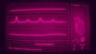 V/A - Casa de Flamingos IV (visualizer)