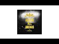 Justice - Encore (Live / AAA)
