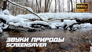 Живая Природа - Река | Ручей | Зима | Звуки Природы | Звуки Ручья | Шум Реки | Антистресс | Заставка