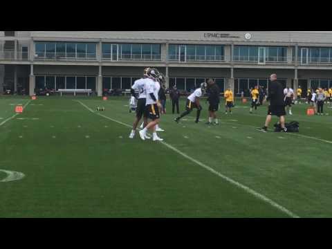 Joshua Dobbs Other Pittsburgh Steelers Qbs Throw At Rookie Minicamp Joshua Dobbs Other Pittsburgh Steelers Qbs Throw At Rookie Minicamp