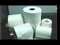 cleanroom wiper