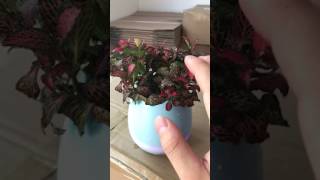 Music Flower Pot Piano Sounds Bluetooth Speaker