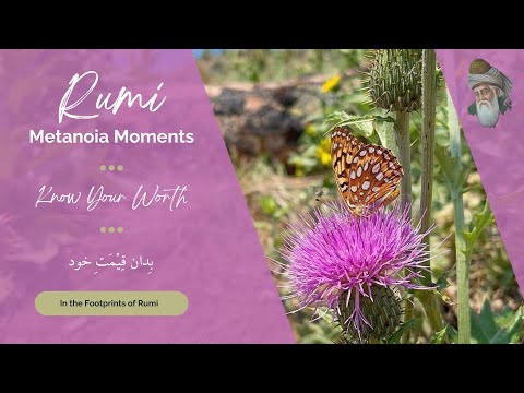 The Metanoia Moments