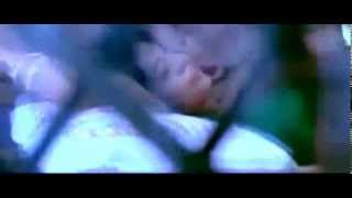 Sneha Hot Tamil Actress Bed Scene Youtube