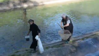 рыбалка на речке черная видео рыбалка получи и распишись речке черная видео