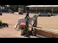 Only One and Carol Hoffman A/O Hunters WEF 2/14/14