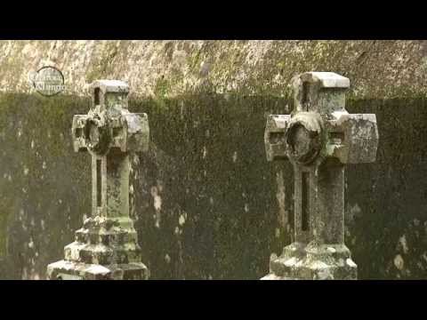 EL CEMENTERIO DE LOS INGLESES (VILAGARCÍA DE AROUSA)
