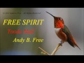Andy B. Free - Tooda Mall - Funny soft rock song from album Free Spirit