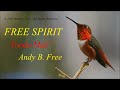 Andy B. Free - Tooda Mall - Funny soft rock song from album Free Spirit