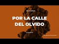 La Calle Del Olvido Video preview