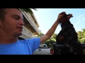 Who is JOB 2.0 - Snapping boards in Hawaii - Ep 4