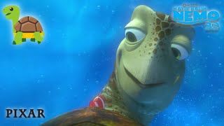 Kaplumbağa Gezintisi🐢 | Kayıp Balık Nemo w / @DisneyStudiosTR