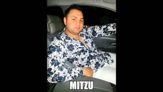 Mitzu Din Salaj - Pentru Ce Sa Mai Plang Eu 彡