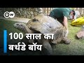 Learn how to live longer from a 100-year-old turtle [Turkey's oldest turtle turns 100]