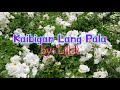 Kaibigan Lang Pala by: Lilet (Lyrics)