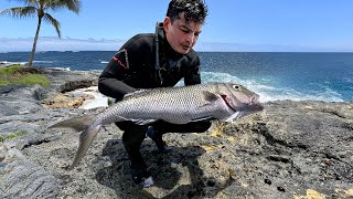 Hawaii Shore Dive For Uku
