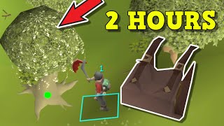 Solo Forestry Guide - New Forestry Guide Fastest Method In Game... Osrs