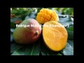 Download Rodrigue Marcel - Do (Champagn') (1988) Zouk rétro souveniw Rodrigue Marcel - Do (Champagn') (1988) Zouk rétro souveniw