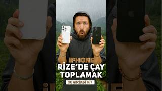 Rizede Çay Toplarken Su Geçiren Iphone