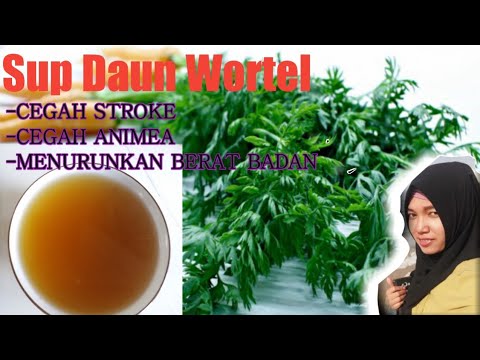 Daun Wortel Ternyata Enak|| Begini Cara Masaknya