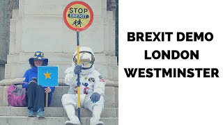 Peoples Vote Demo London Westminster Put It To The People