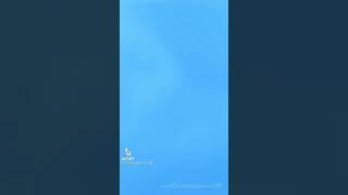 Show Yourself Frozen Ii Reversed