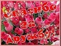 Поздравления для любимой 1 год нашей дружбы Поздравления для любимой 1 год нашей дружбы