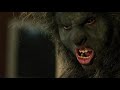 Watch WolfCop Full Movies Streaming