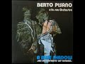 Berto Pisano A blue shadow Ho incontrato un ombra (Stereo)