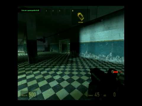 Half Life 2: Deathmatch