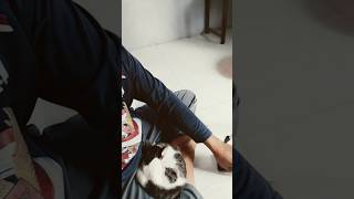 Lihat Apa Yg Tertidur Di Pangkuan Saya