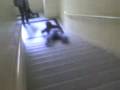 MOV00035