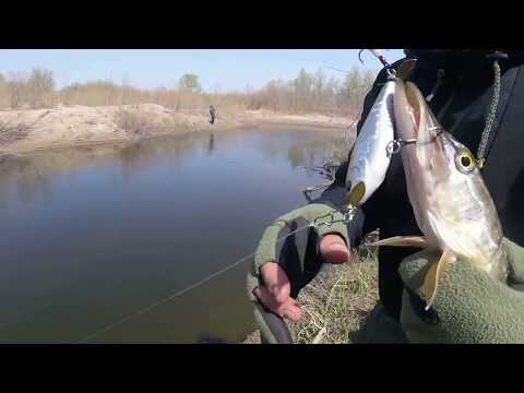 рыбалка видео на щуку и жереха рыбалка видео на щуку и жереха