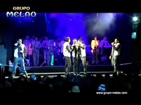 GRUPO MELAO SALVADOR grupo melao salvador: