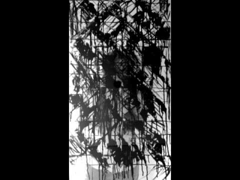 Schwarzmarkt - Freelance Film-Maker 18,12 EUR