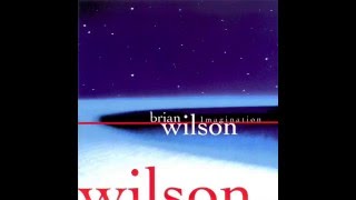 Watch Brian Wilson South American video