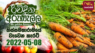 Rividina Arunella - 022-05-08 | Agriculture Programme