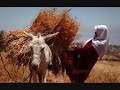 Baran Lo Dilo Kilom Kilam Kurtce Turku Kilama Kurdiya images Baran Lo Dilo Kilom Kilam Kurtce Turku Kilama Kurdiya